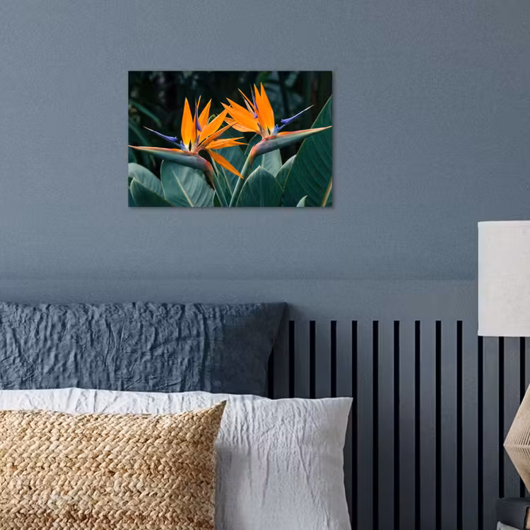 Paradijsvogel - Bloem - Exotisch poster papier klein -sfeer2