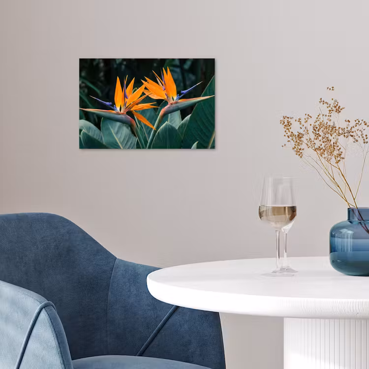 Paradijsvogel - Bloem - Exotisch poster papier klein -sfeer3