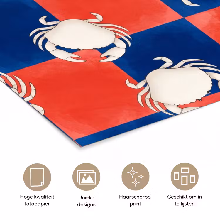 Patroon - Zeeleven - Rood - Blauw - Abstract poster papier klein -closeup_NL