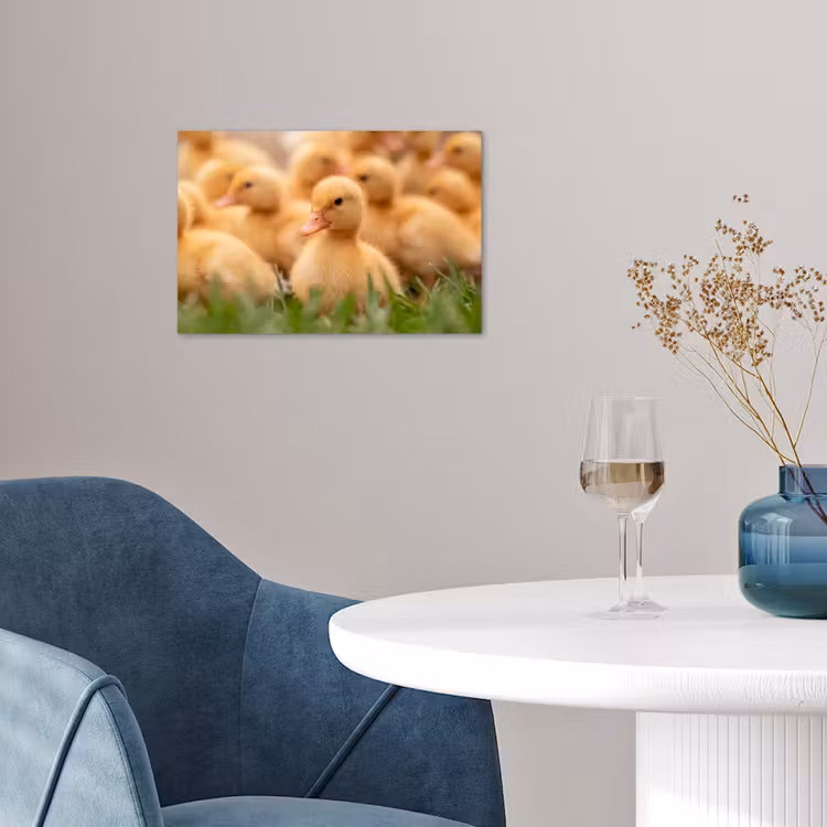 Pijltje - Eend - Natuur - Geel poster papier klein -sfeer3