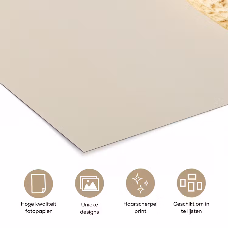 Pinda - Ruw - Beige poster papier klein -closeup_NL