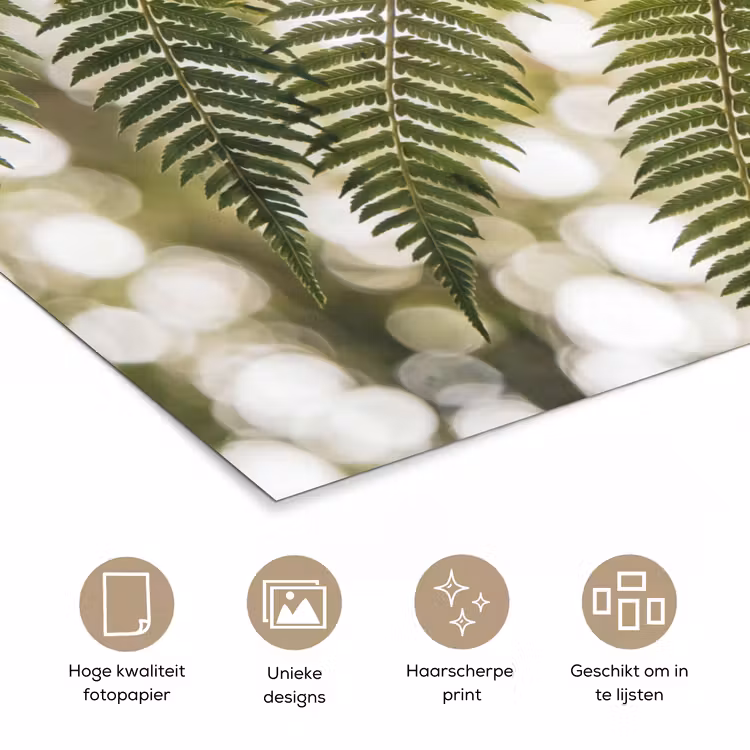 Plant - Blad - Natuur - Groen - Detail poster papier klein -closeup_NL