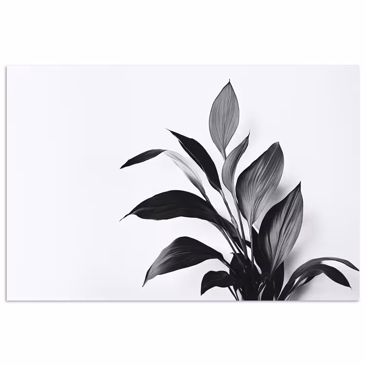 Plant - Bladeren - Minimalistisch - Zwart poster papier klein -3d