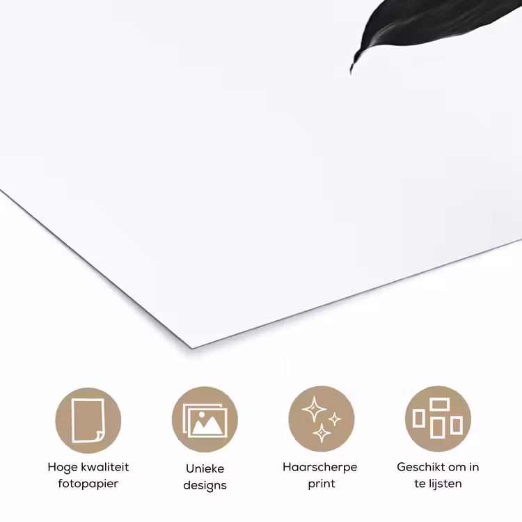 Plant - Bladeren - Minimalistisch - Zwart poster papier klein -closeup_NL