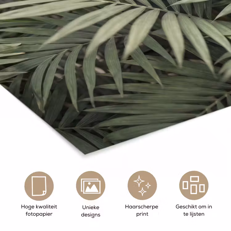 Plant - Palmbladeren - Natuur - Groen poster papier klein -closeup_NL