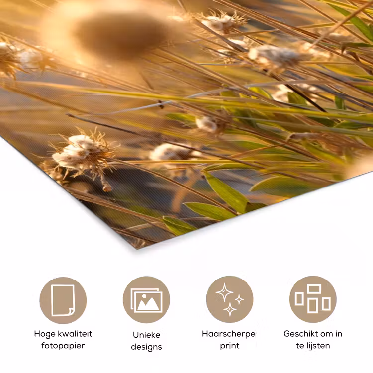Planten - Natuur - Bloemen - Zon - Horizon poster papier klein -closeup_NL