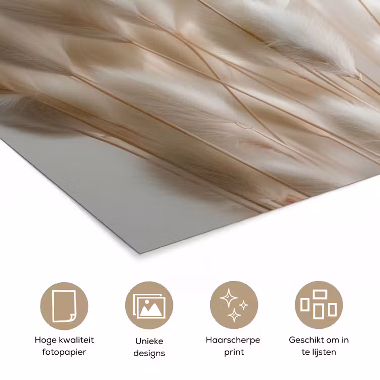 Pluimen - Beige - Minimalistisch poster papier klein -closeup_NL