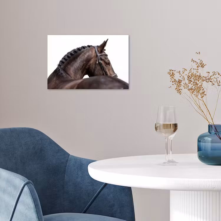 Portret - Paard - Elegant poster papier klein -sfeer3