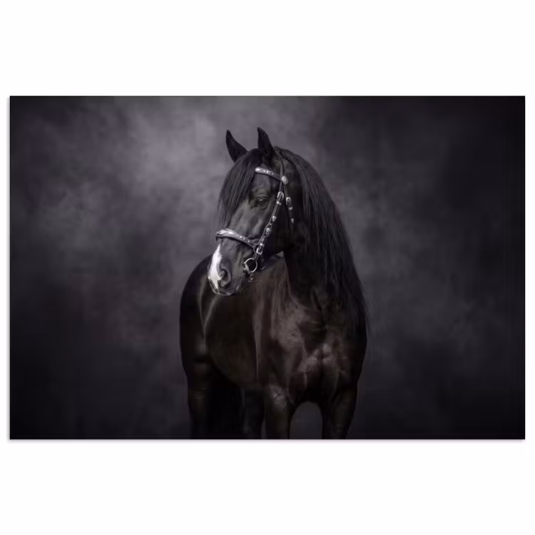 Portret - Paard - Zwart poster papier klein -3d