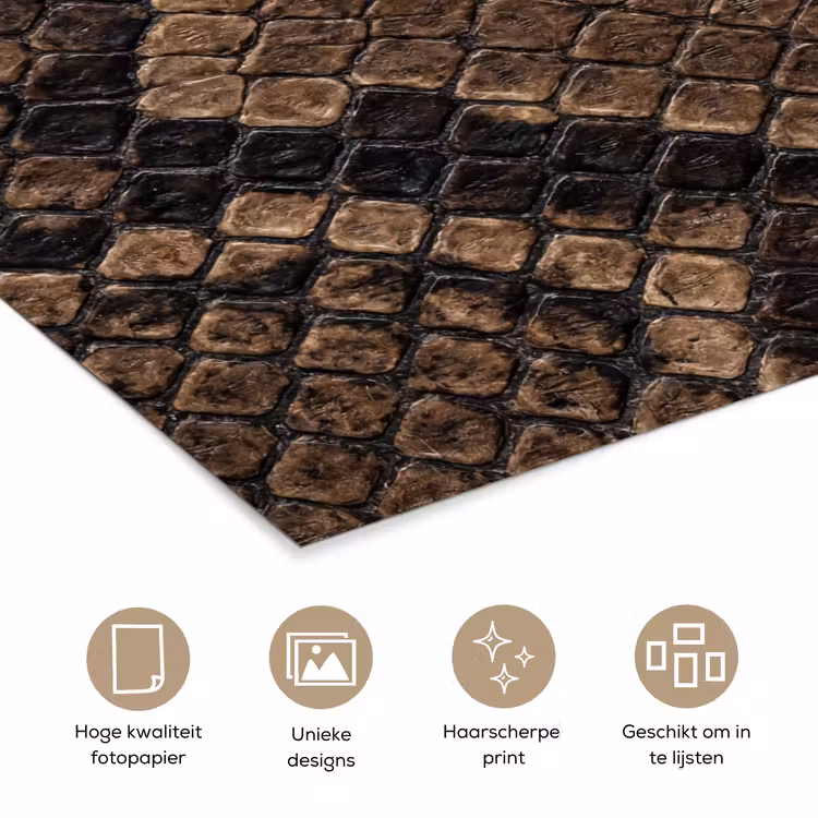 Python - Schubben - Brons poster papier klein -closeup_NL