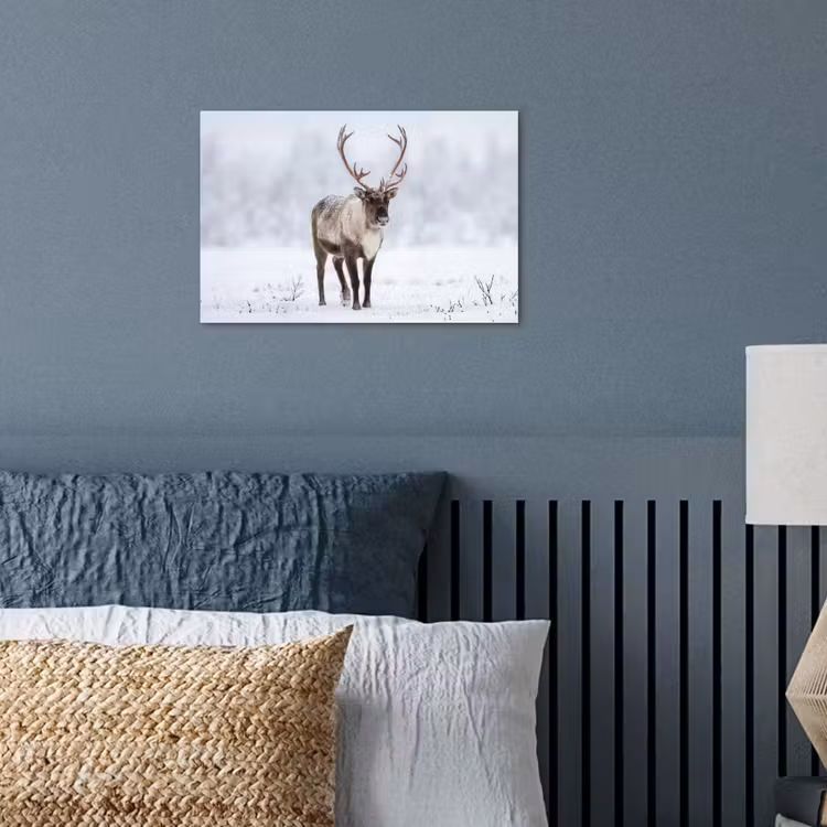 Rendier - Gewei - Toendra - Sneeuw - Wild poster papier klein -sfeer2
