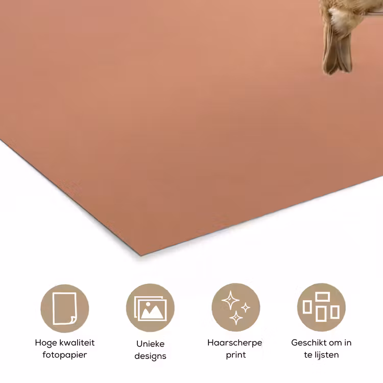 Roodborst - Natuur - Roze poster papier klein -closeup_NL