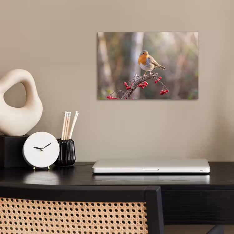 Roodborst - Tak - Bessen - Natuur poster papier klein -sfeer1
