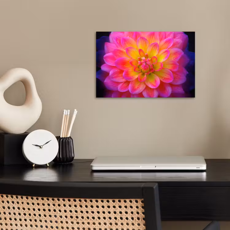 Roze - Dahlia - Kleurrijk poster papier klein -sfeer1