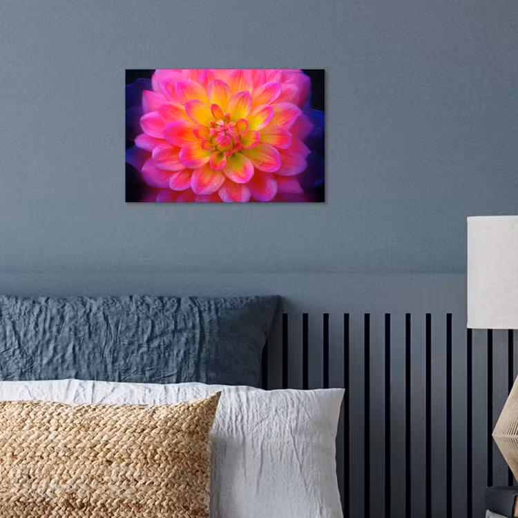 Roze - Dahlia - Kleurrijk poster papier klein -sfeer2