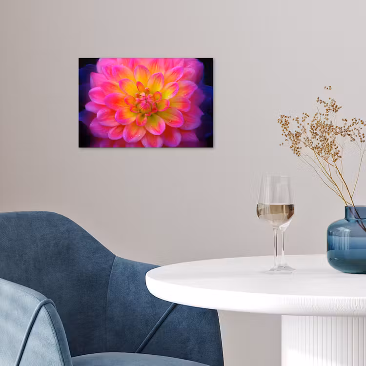 Roze - Dahlia - Kleurrijk poster papier klein -sfeer3