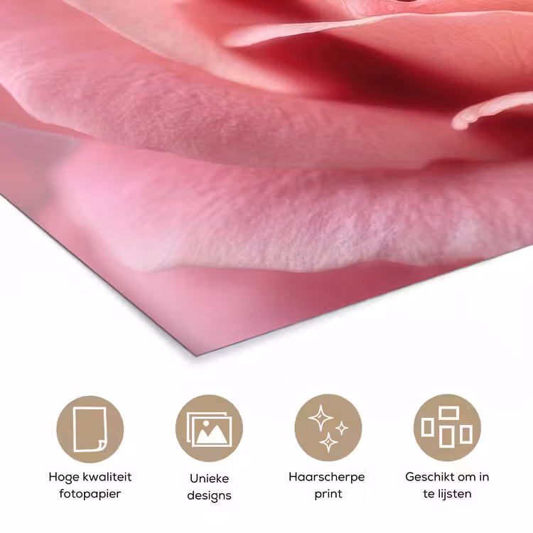 Roze - Roos - Romantisch poster papier klein -closeup_NL