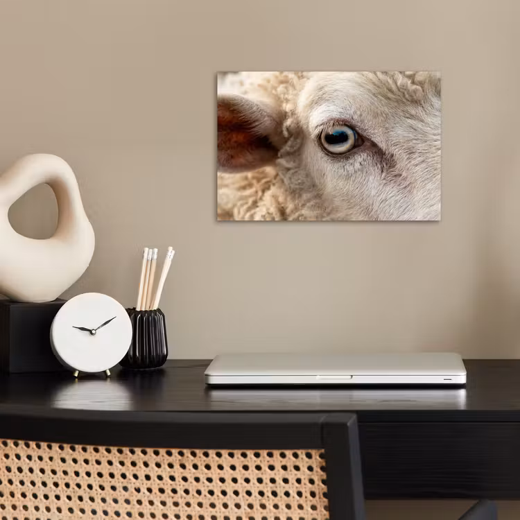 Schaap - Oog - Wit poster papier klein -sfeer1