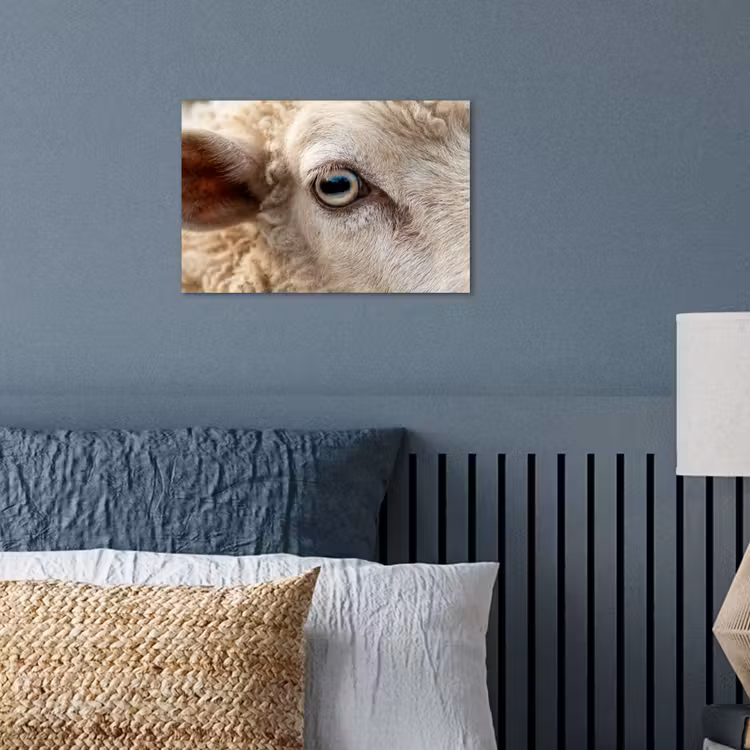 Schaap - Oog - Wit poster papier klein -sfeer2