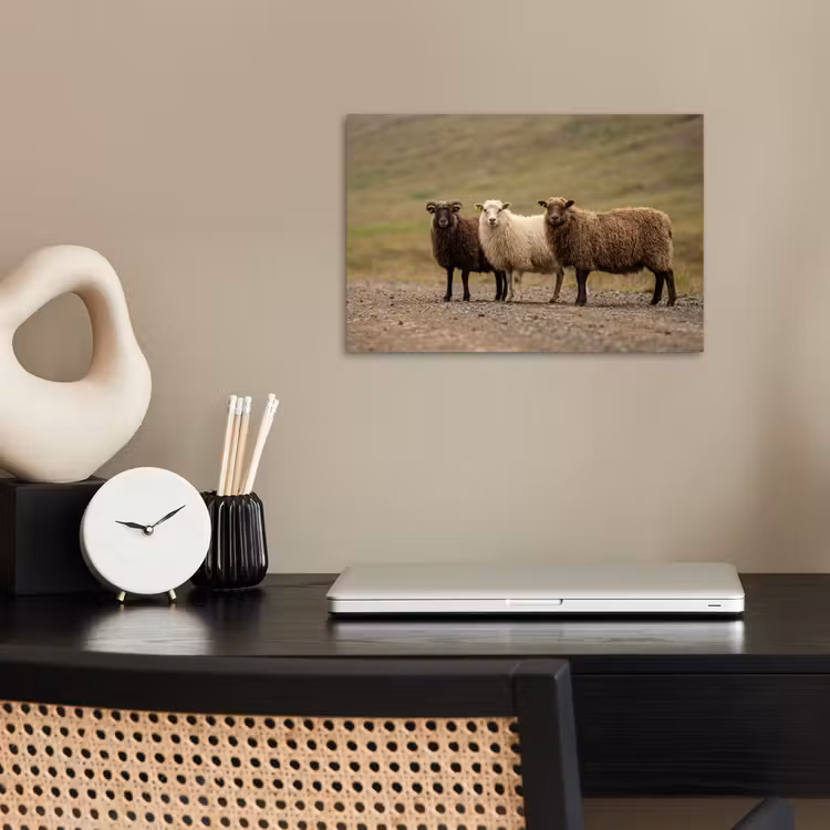 Schapen - Bruin - Wit - Grindpad poster papier klein -sfeer1