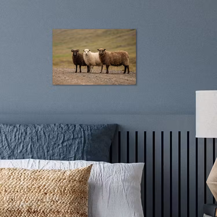 Schapen - Bruin - Wit - Grindpad poster papier klein -sfeer2