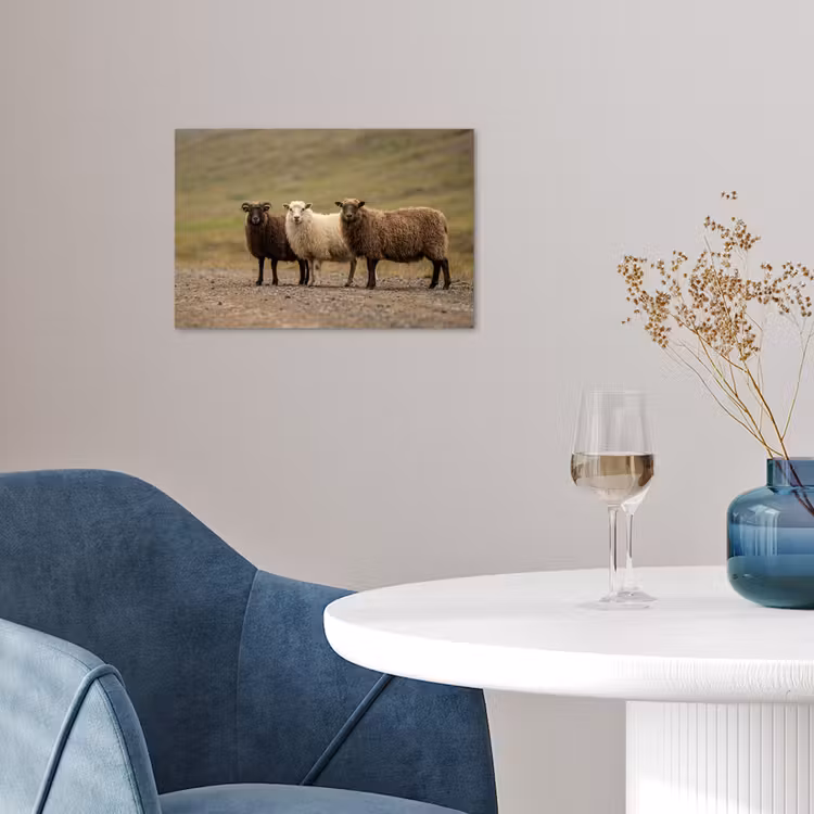 Schapen - Bruin - Wit - Grindpad poster papier klein -sfeer3