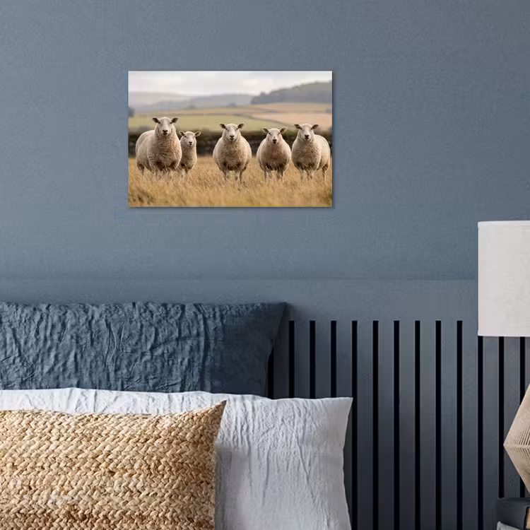 Schapen - Weidenlandschap - Heuvels poster papier klein -sfeer2