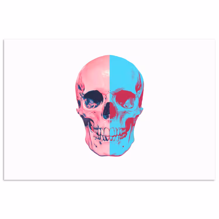 Schedel - Grafisch - Roze - Verdeeld poster papier klein -3d