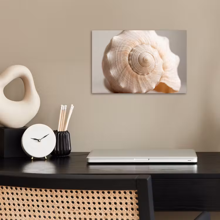 Schelp - Detail - Beige poster papier klein -sfeer1
