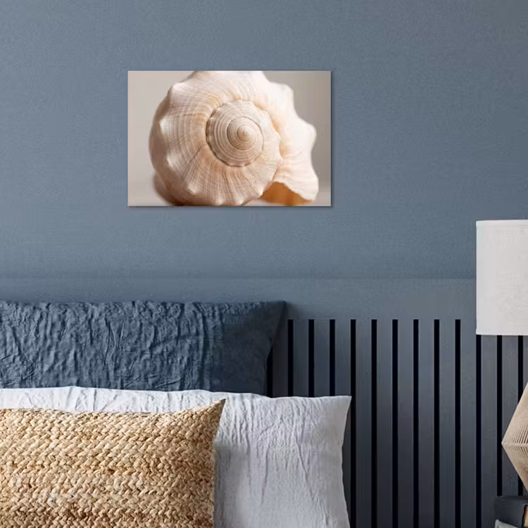 Schelp - Detail - Beige poster papier klein -sfeer2