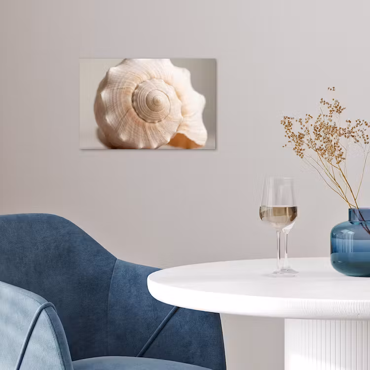 Schelp - Detail - Beige poster papier klein -sfeer3