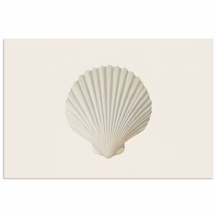 Schelp - Minimalistisch - Wit poster papier klein -3d