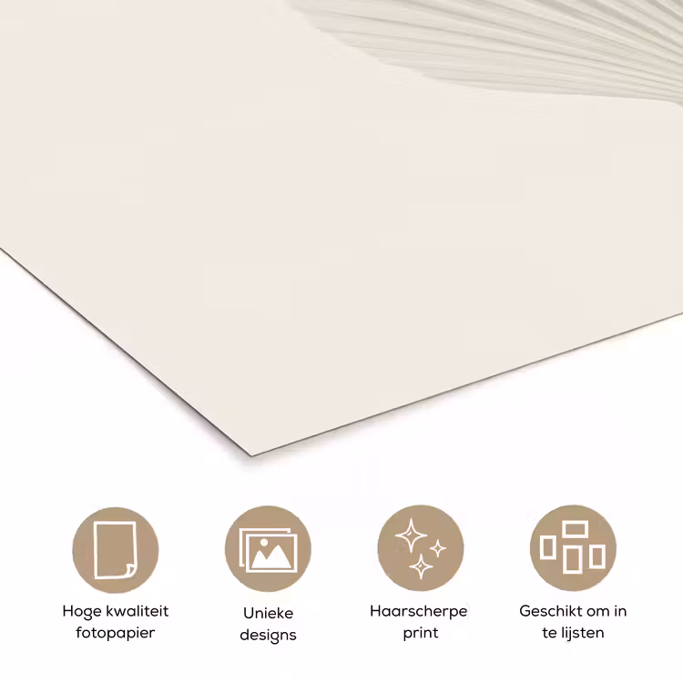 Schelp - Minimalistisch - Wit poster papier klein -closeup_NL