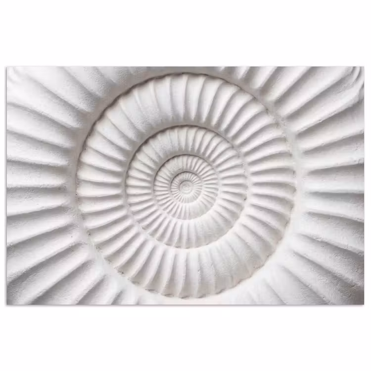 Schelp - Spiraal - Wit poster papier klein -3d