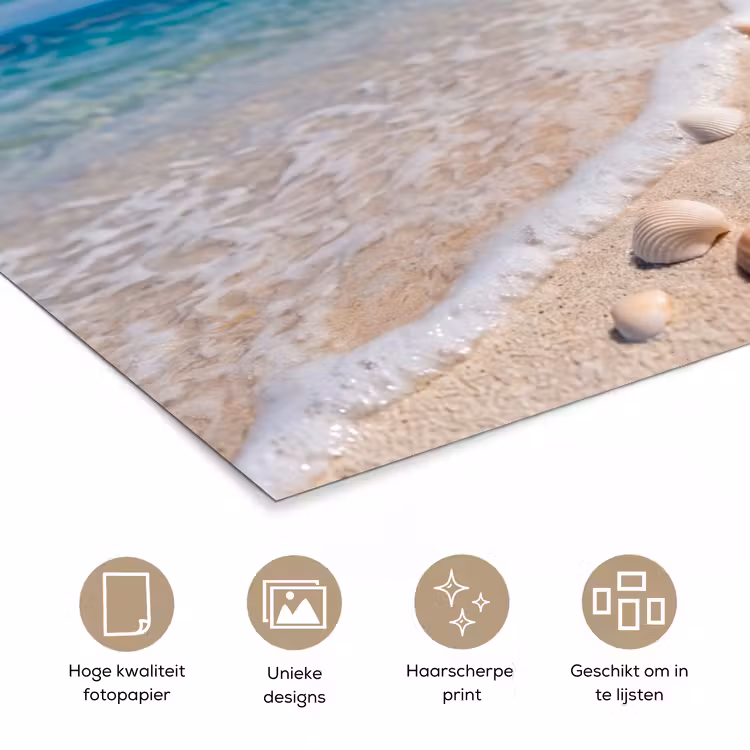 Schelpen - Strand - Natuur - Beige poster papier klein -closeup_NL