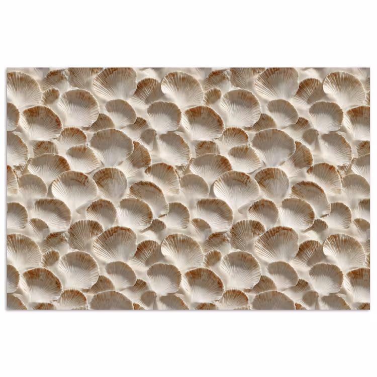 Schelpen - Waaiervorm - Wit poster papier klein 62 -3d