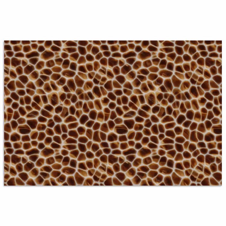 Schildpad - Bruin - Patroon poster papier klein 62 -3d