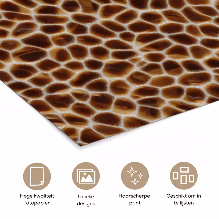 Schildpad - Bruin - Patroon poster papier klein 62 -closeup_NL