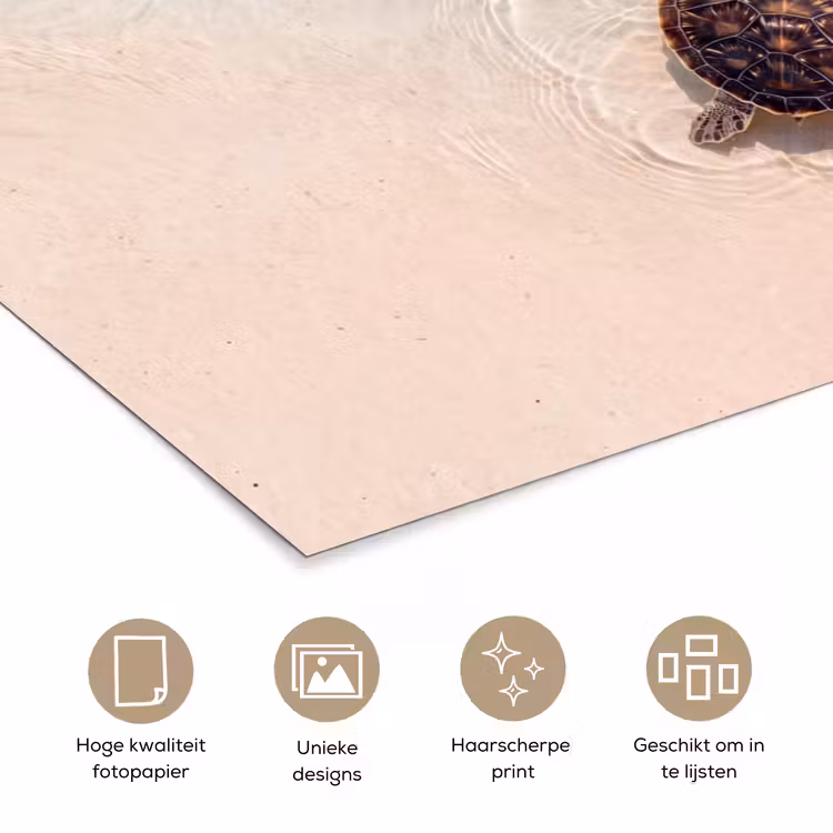 Schildpad - Helder water - Strand - Dieren - Natuur poster papier klein -closeup_NL