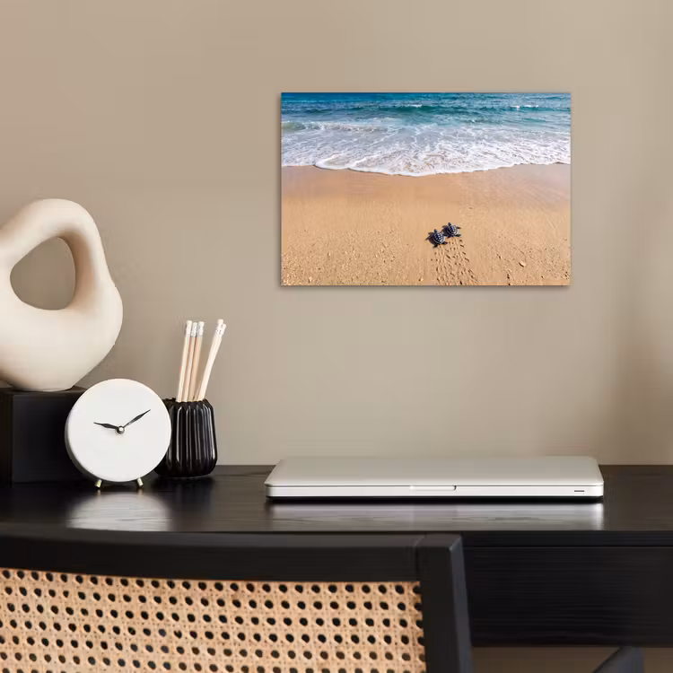 Schildpad - Jong - Strand - Oceaan - Blauw poster papier klein -sfeer1
