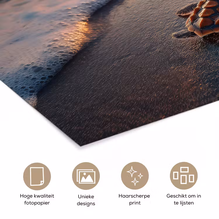 Schildpad - strand - Zonsondergang poster papier klein -closeup_NL