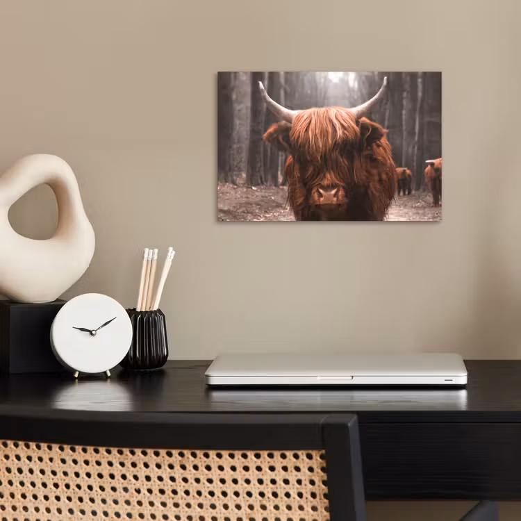 Schotse hooglander - Bos - Koe - Dieren - Natuur poster papier klein -sfeer1