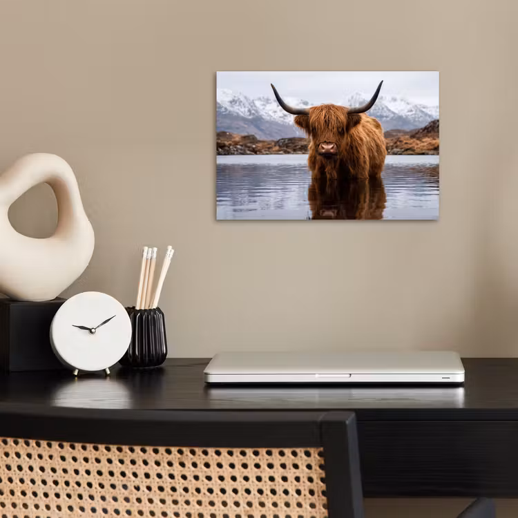 Schotse hooglander - Bruin - Water poster papier klein -sfeer1