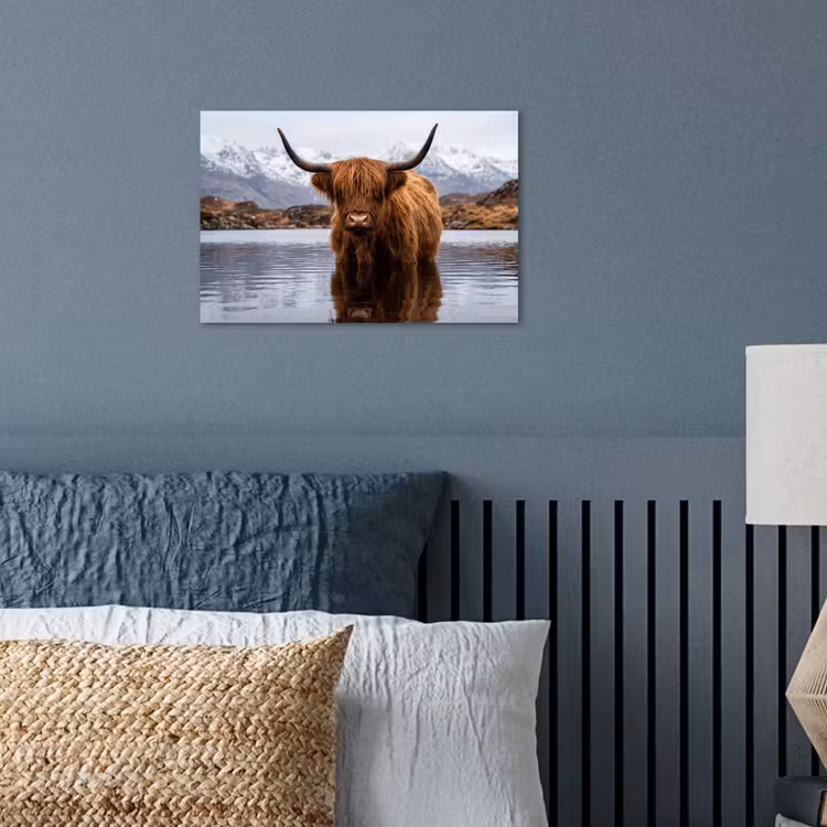 Schotse hooglander - Bruin - Water poster papier klein -sfeer2