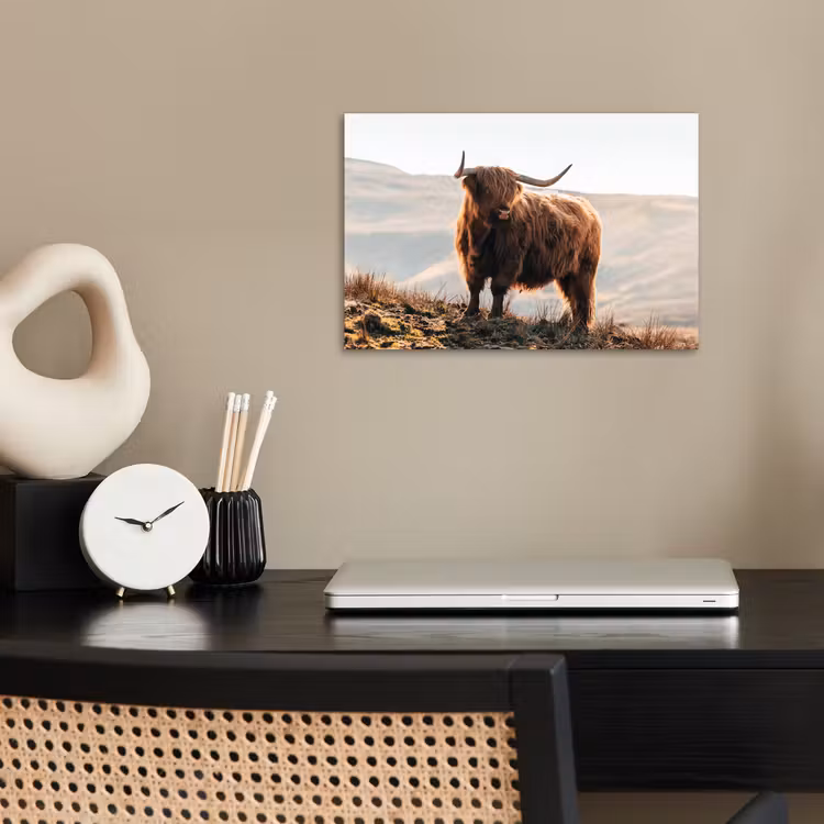 Schotse hooglander - Dieren - Landelijk - Landschap - Koe - Natuur poster papier klein -sfeer1