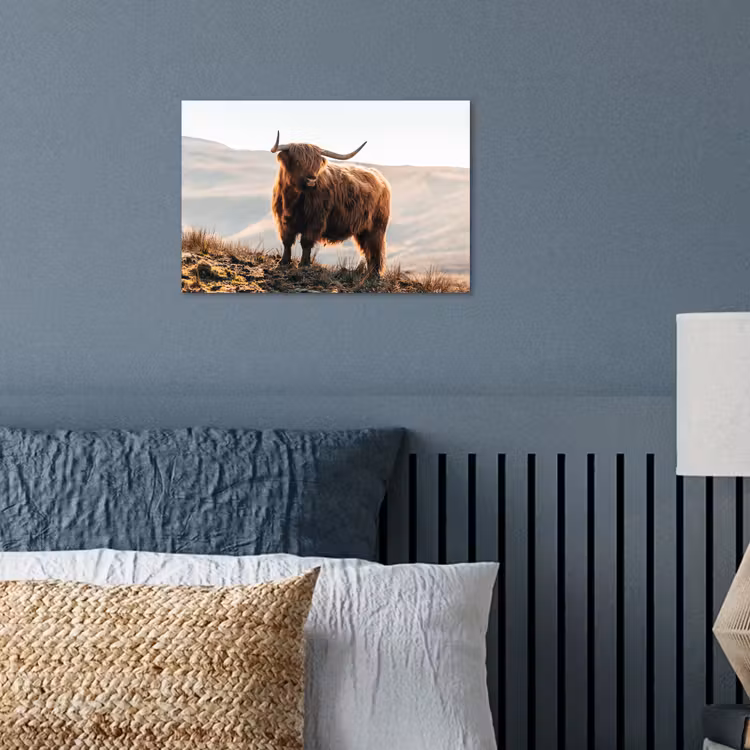 Schotse hooglander - Dieren - Landelijk - Landschap - Koe - Natuur poster papier klein -sfeer2