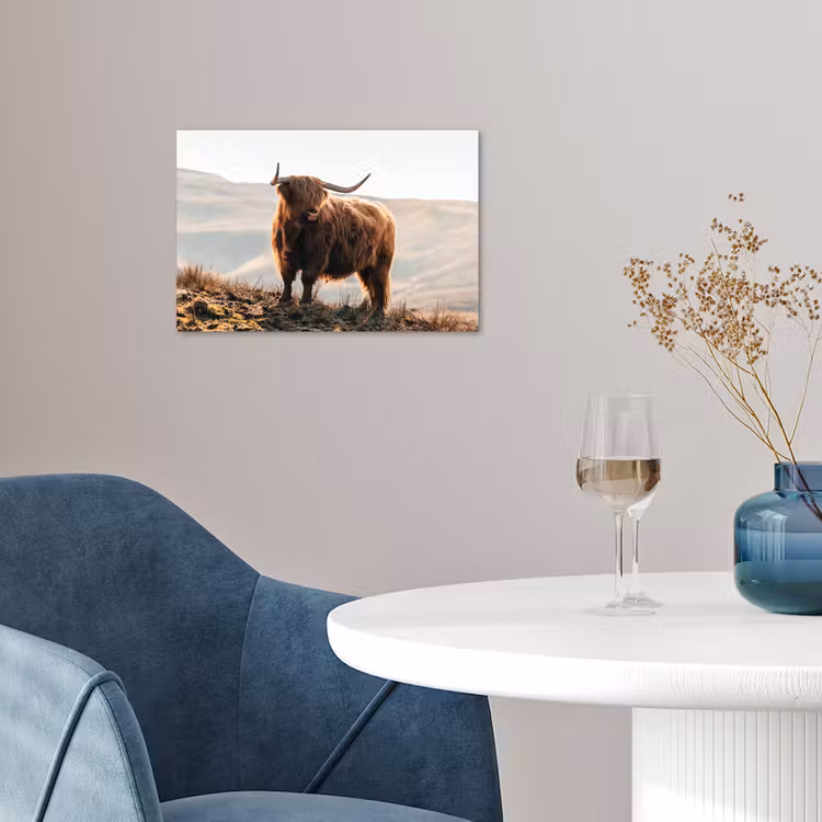 Schotse hooglander - Dieren - Landelijk - Landschap - Koe - Natuur poster papier klein -sfeer3