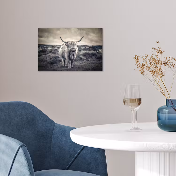 Schotse hooglander - Dieren - Wolken - Koe - Natuur poster papier klein -sfeer3