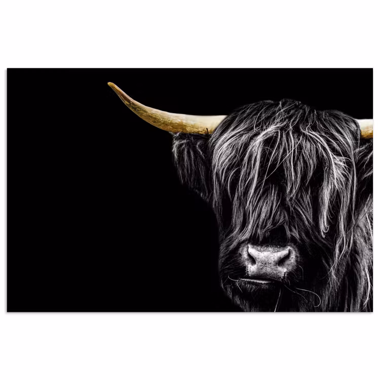 Schotse hooglander - Goud - Vacht - Dieren - Koe poster papier klein -3d