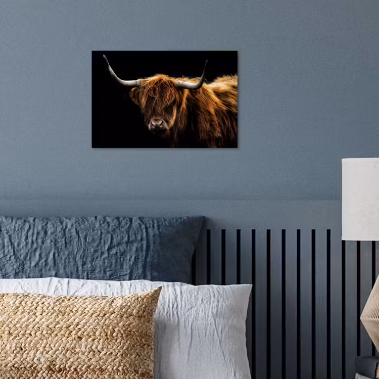 Schotse Hooglander - Horens - Zwart - Dieren - Natuur - Wild - Koe poster papier klein -sfeer2